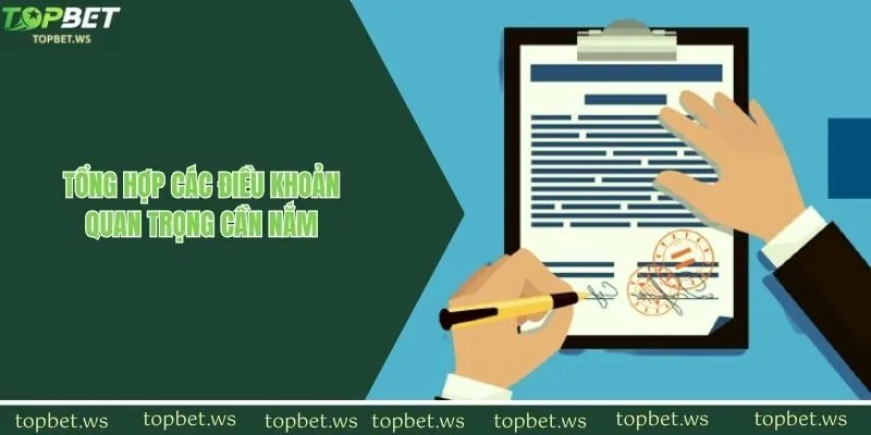 Tổng hợp các điều khoản quan trọng cần nắm