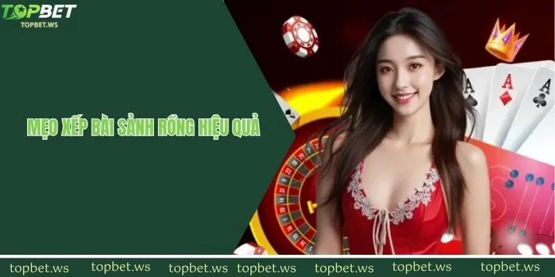 Kinh nghiệm sắp xếp liên kết từ 3 đến A tăng cơ hội thắng cược