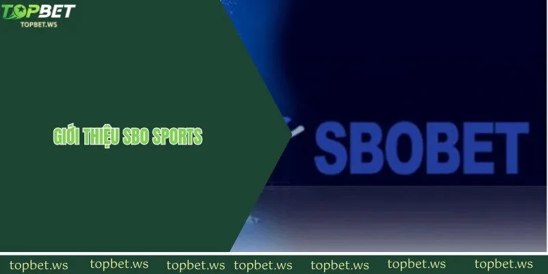 SBO Sports là sảnh cược được nhiều người lựa chọn tại TOPBET